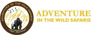 Murchison Falls Safaris