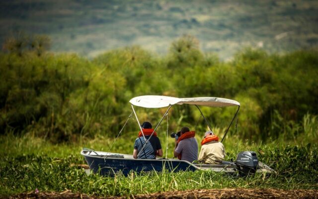 1 Day Murchison Falls Safari