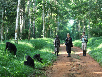 Budongo Forest