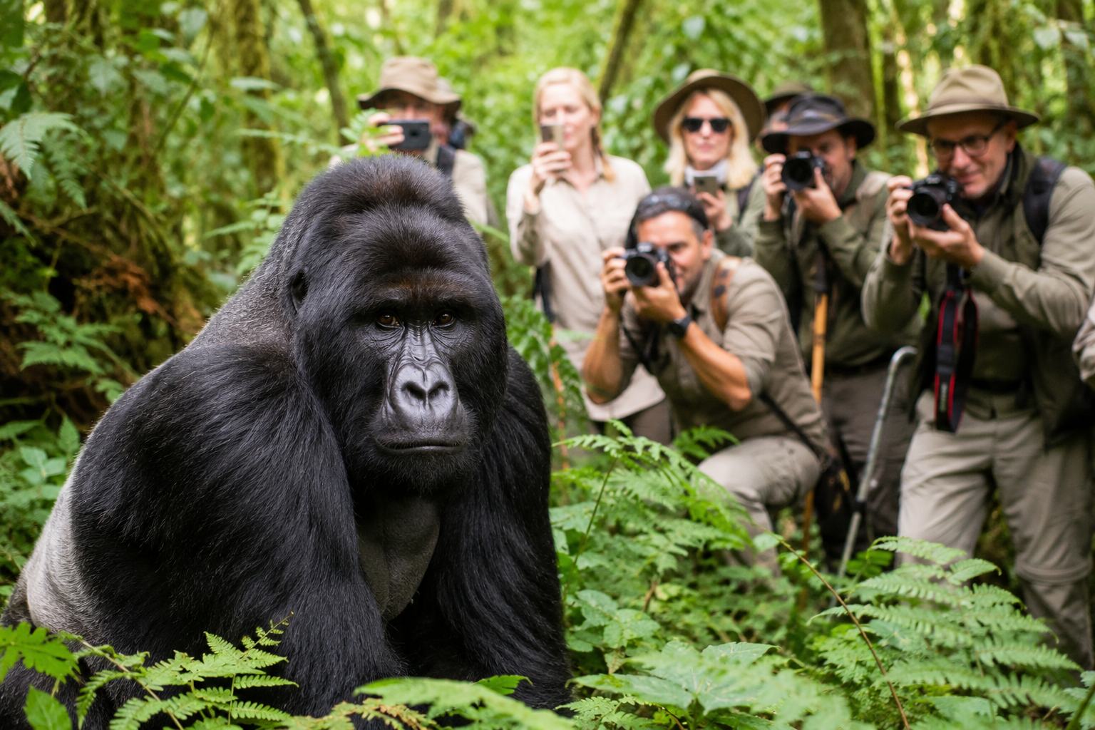 Luxury-Gorilla-Safari-Uganda-2