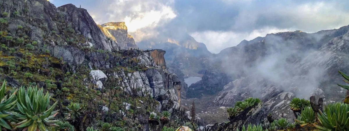 Rwensori hike