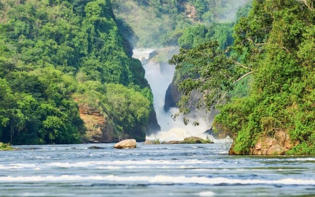 4 Day Murchison Falls & Ziwa Rhino Safari