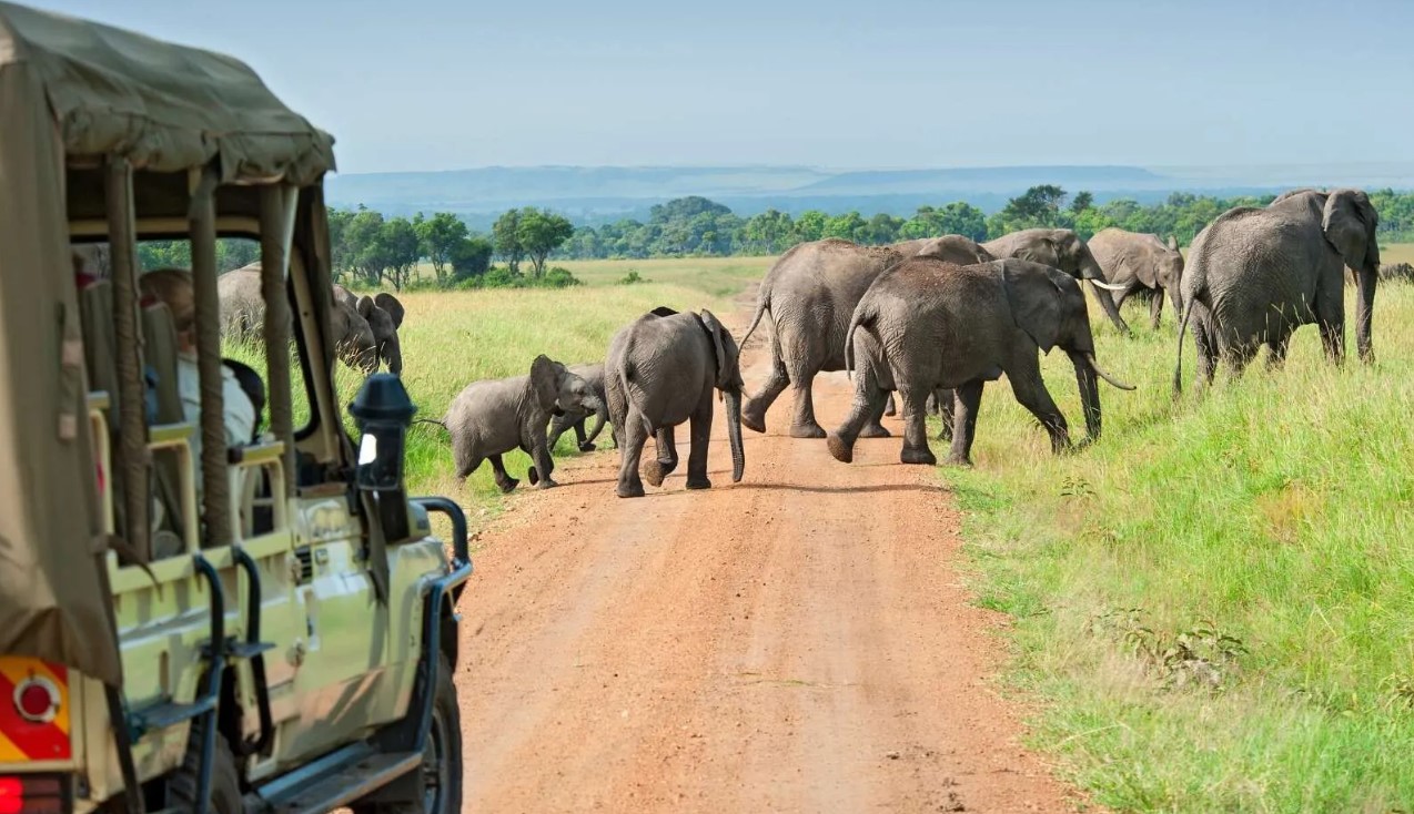 Uganda-Safaris-1