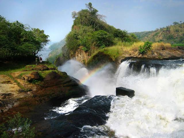 Accessible Safaris in Murchison Falls National Park