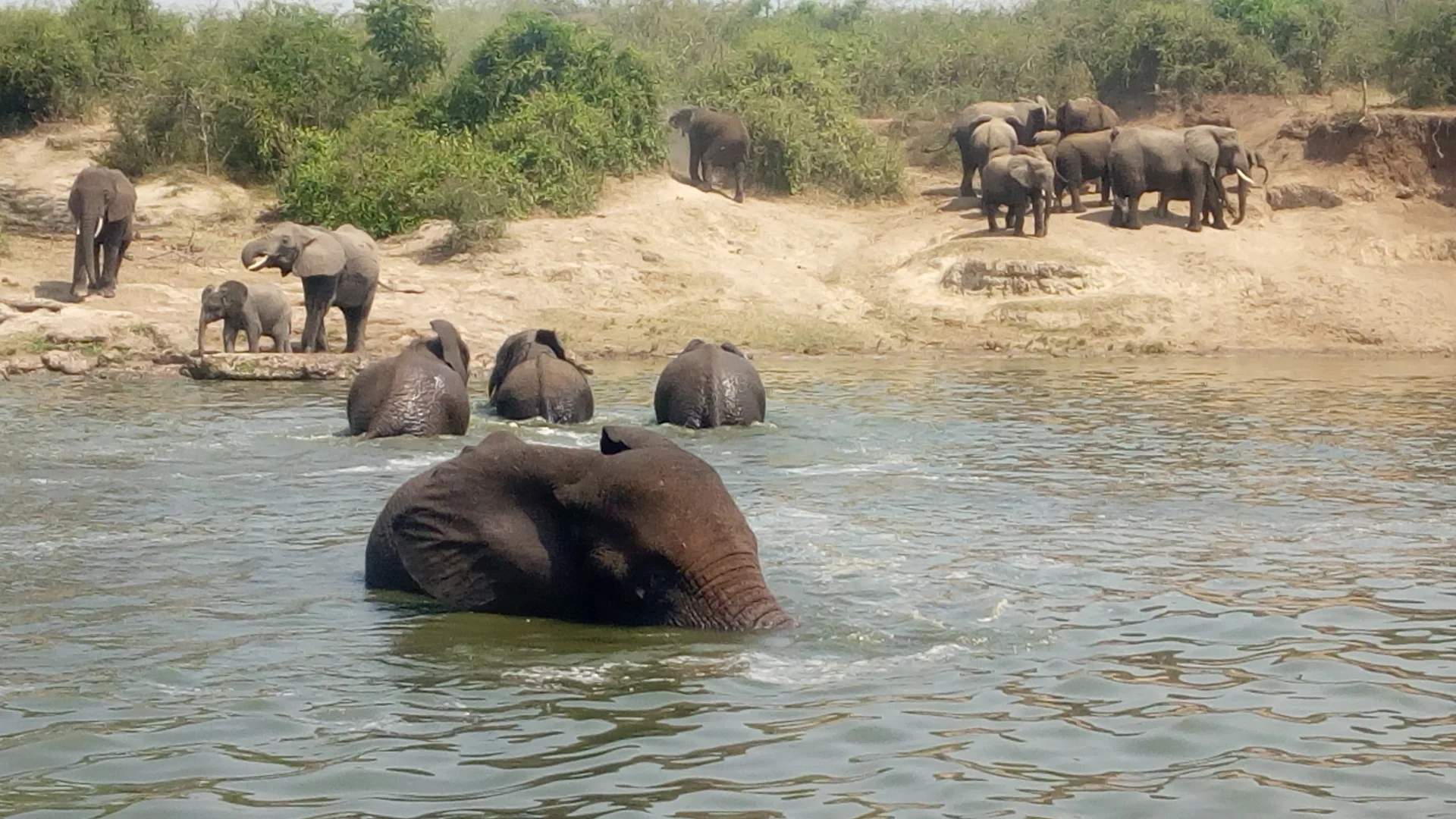 Best Boat Safaris in Uganda — Uganda safari guide