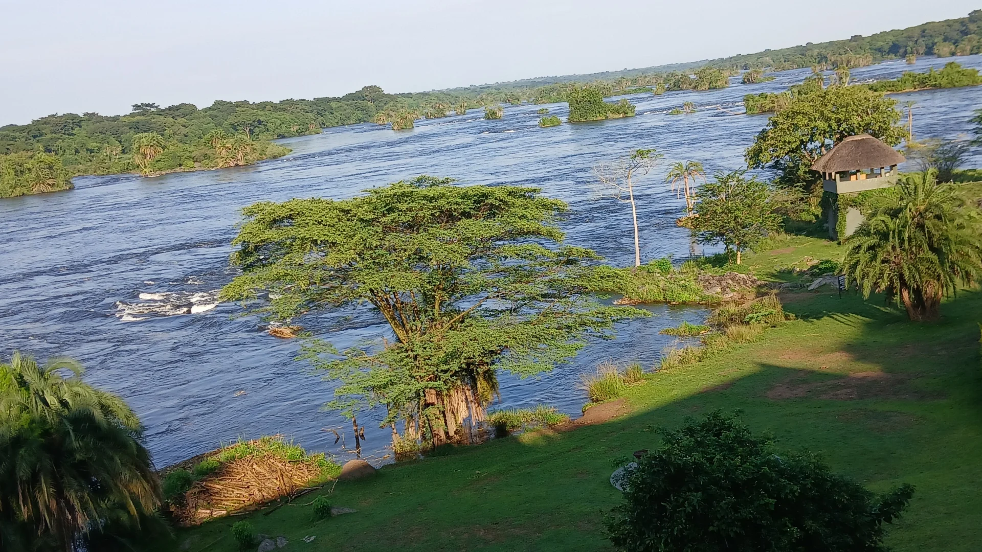 Best Time to Visit Murchison Falls National Park — Uganda safari guide