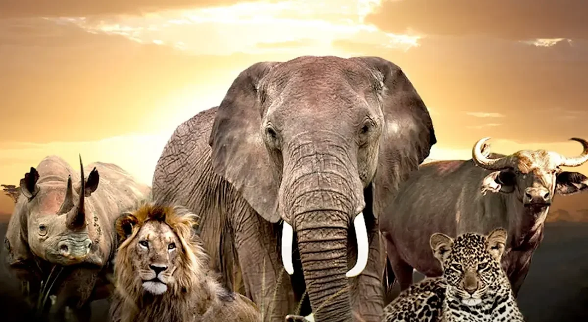 big five