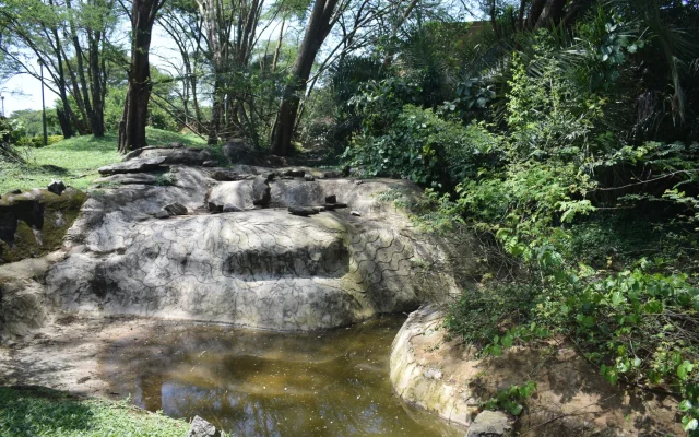 Bwana Tembo Safari Camp