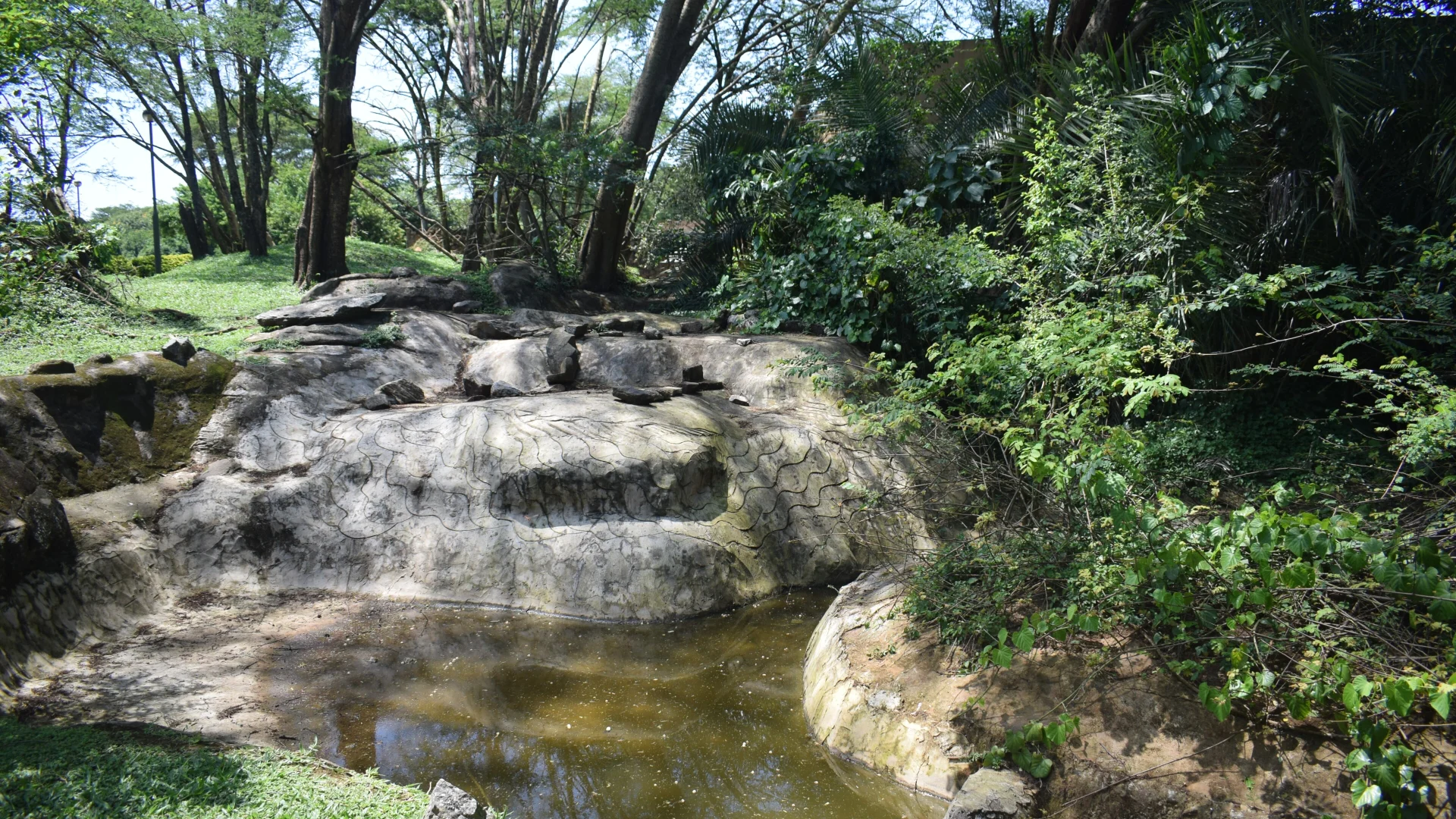 Bwana Tembo Safari Camp — Uganda safari lodge