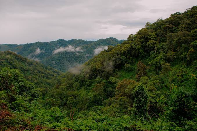 bwindi
