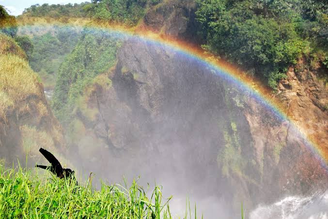 How to Support Conservation in Murchison Falls