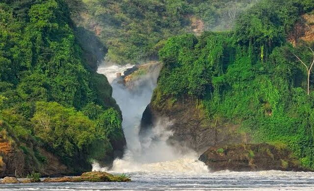 Ecosystems of Murchison Falls National Park