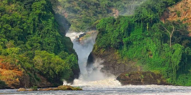 Ecosystems of Murchison Falls National Park