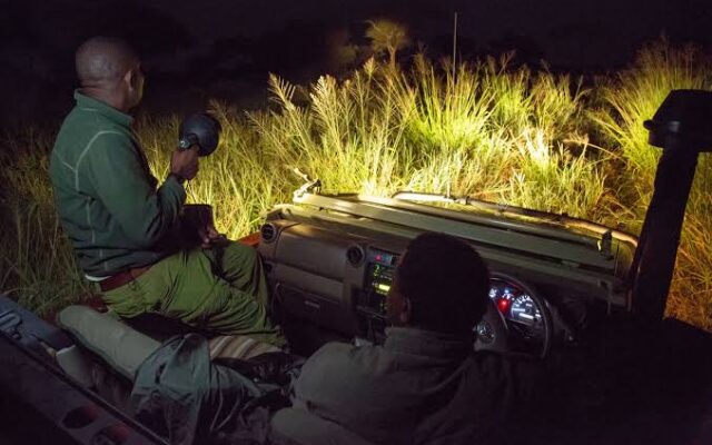 Evening Game Drive in Murchison Falls National Park