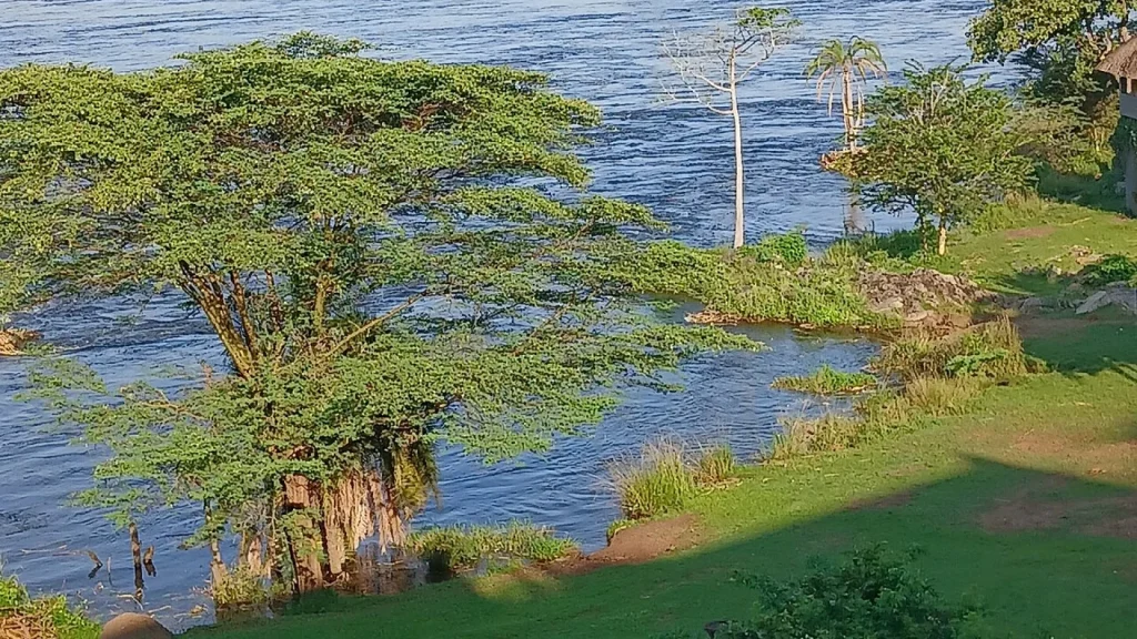 Family Uganda Safari Packages — Uganda safari guide