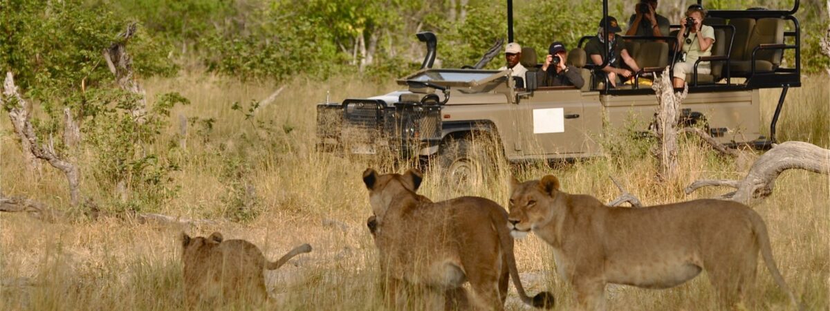 game-drive (1)