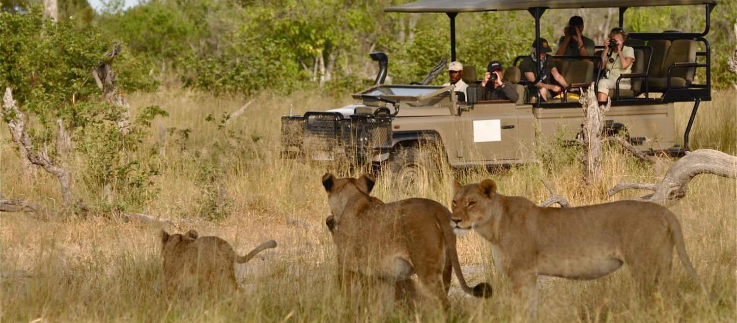 game-drive (1)
