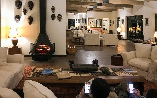 Gorilla Habituation Experience in Uganda — Uganda safari guide