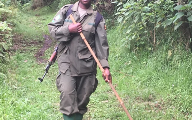 Gorilla Trekking Rules and Age Limits — Uganda safari guide