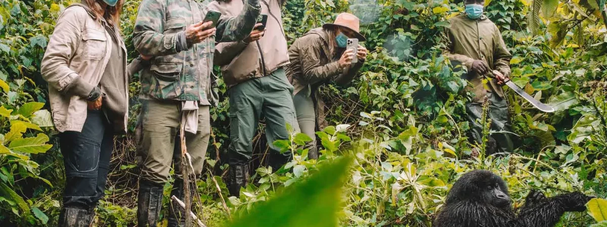 gorilla trekkkkin
