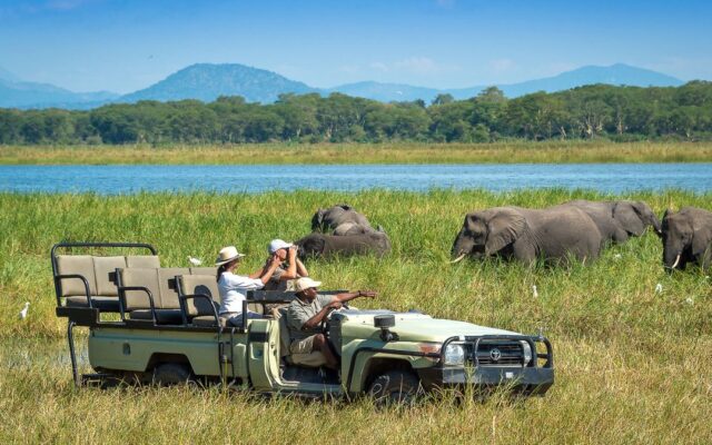Guided Game Drives in Murchison Falls National Park