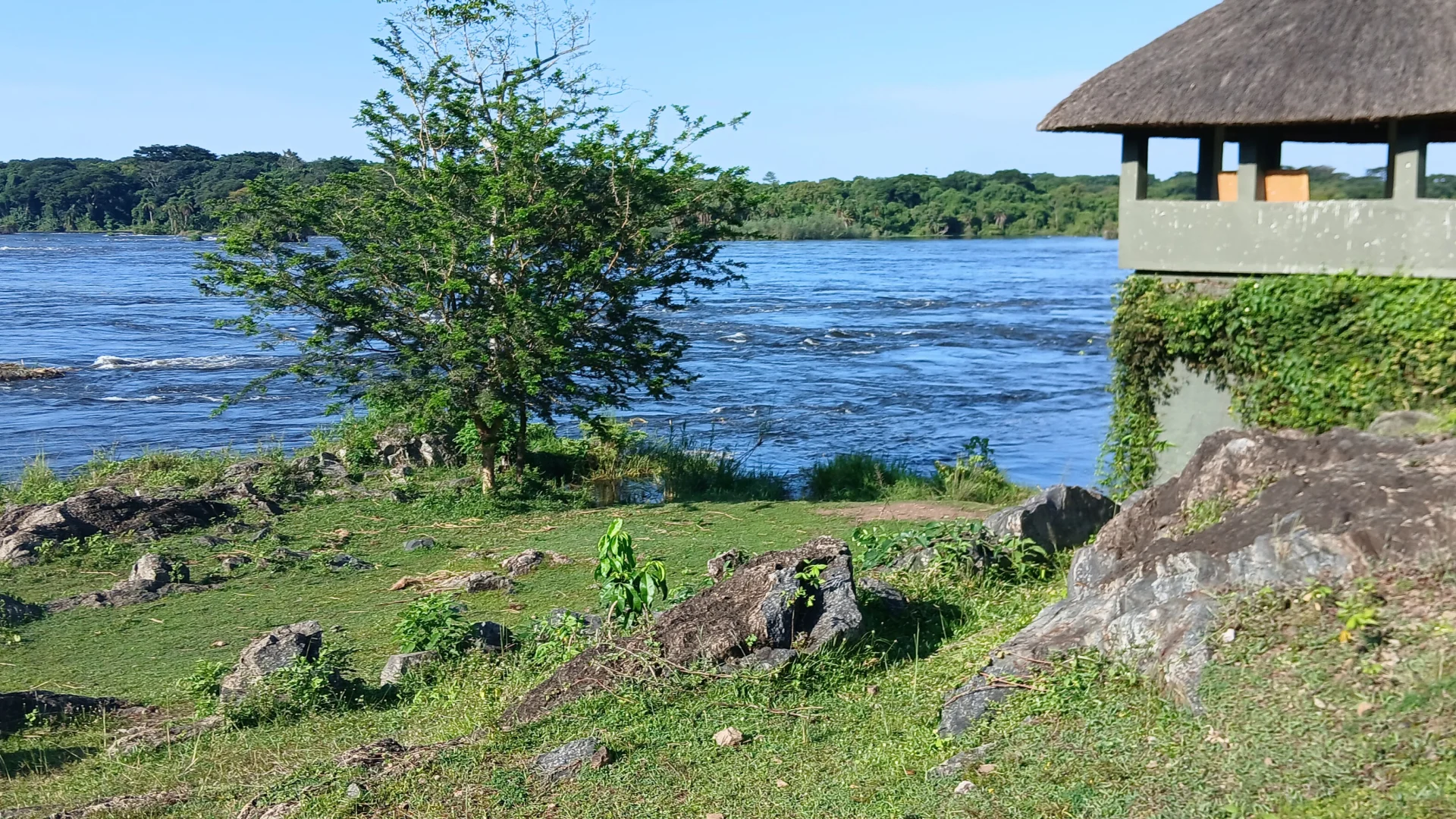 How Many Days Do You Need for a Uganda Safari? — Uganda safari guide