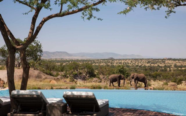 luxury safari ideas