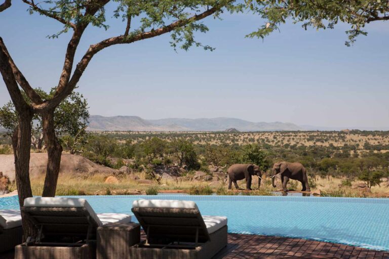 Luxury Uganda Safari Itinerary Ideas