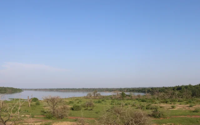 Murchison falls national Park wildlife