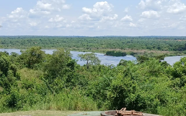 Nile Delta Cruise: The Best Place to See Shoebills in Uganda — Uganda safari guide