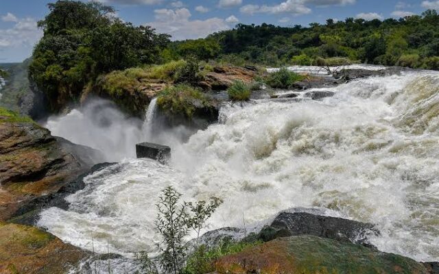 Best Wildlife Photography Locations in Murchison Falls