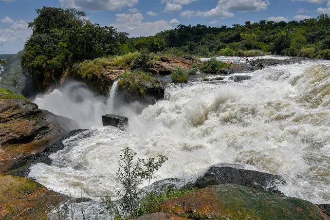 Best Wildlife Photography Locations in Murchison Falls