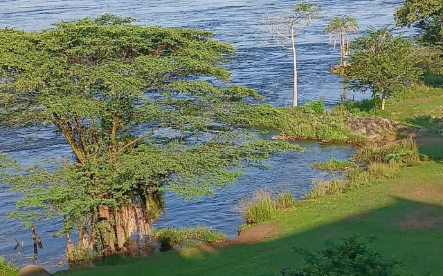 Rhino Tracking in Uganda Guide — Uganda safari guide