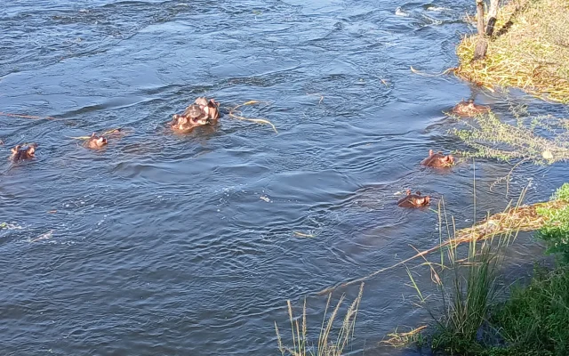 Sambiya River Lodge