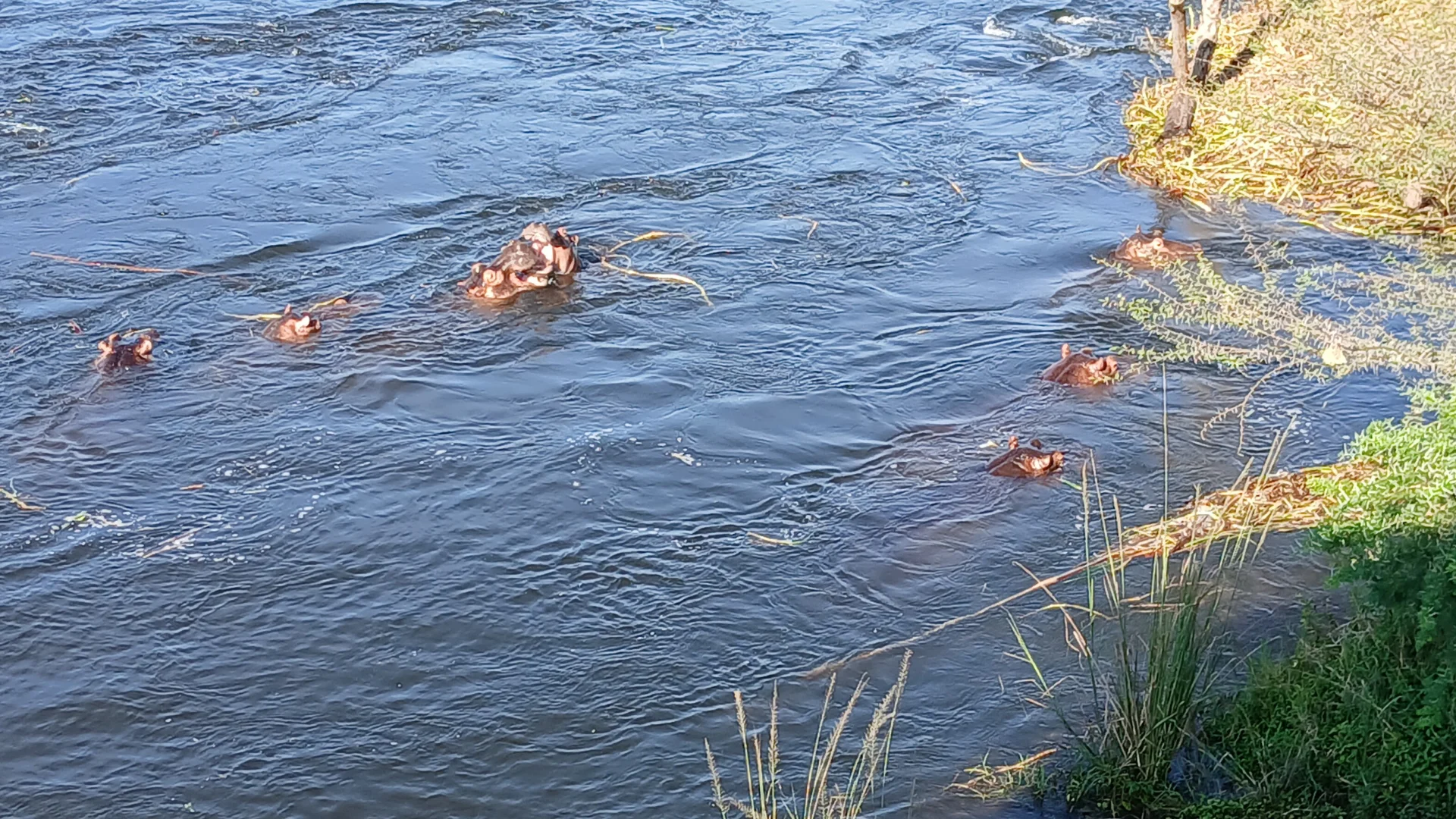 Sambiya River Lodge — Uganda safari lodge