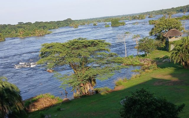 Uganda Safari Bucket List — Uganda safari guide