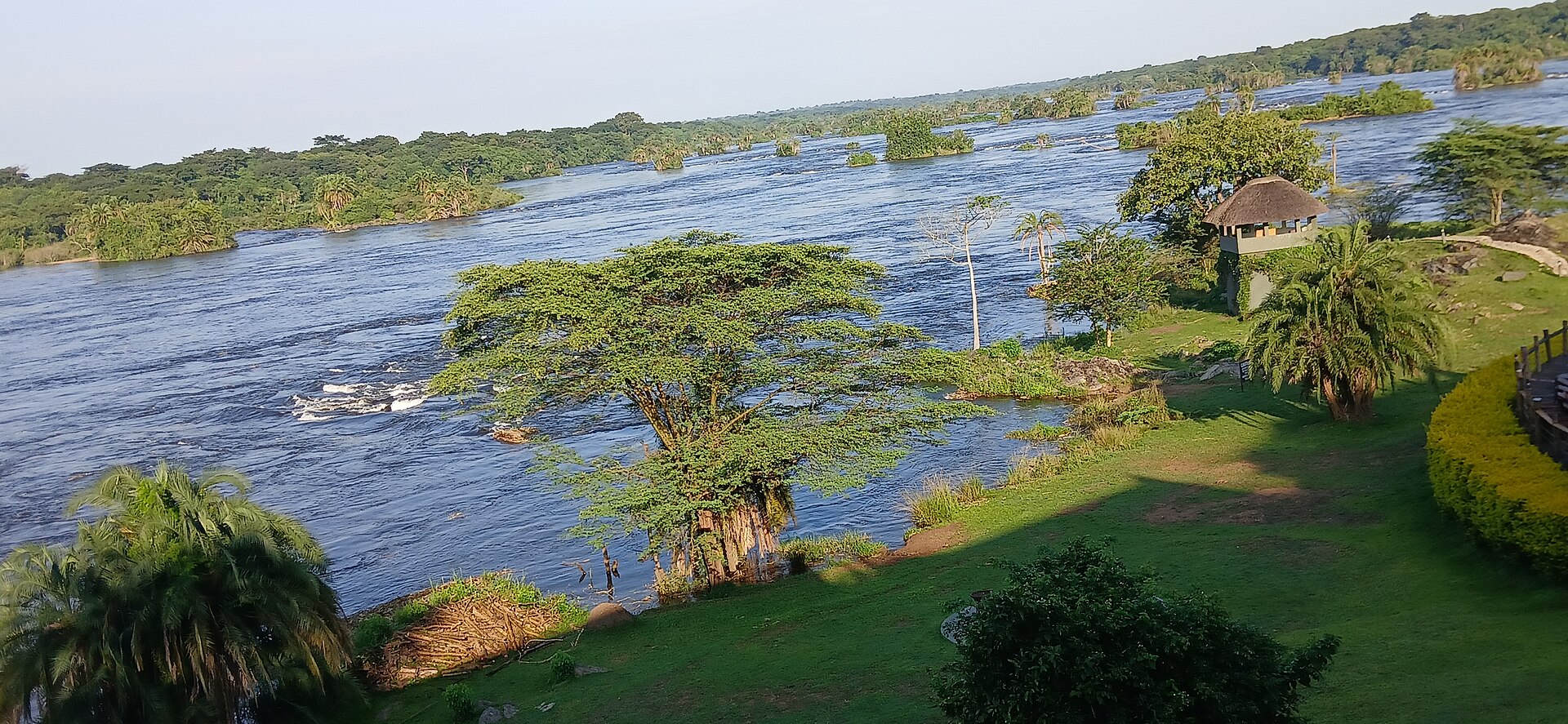 Uganda Safari Bucket List — Uganda safari guide