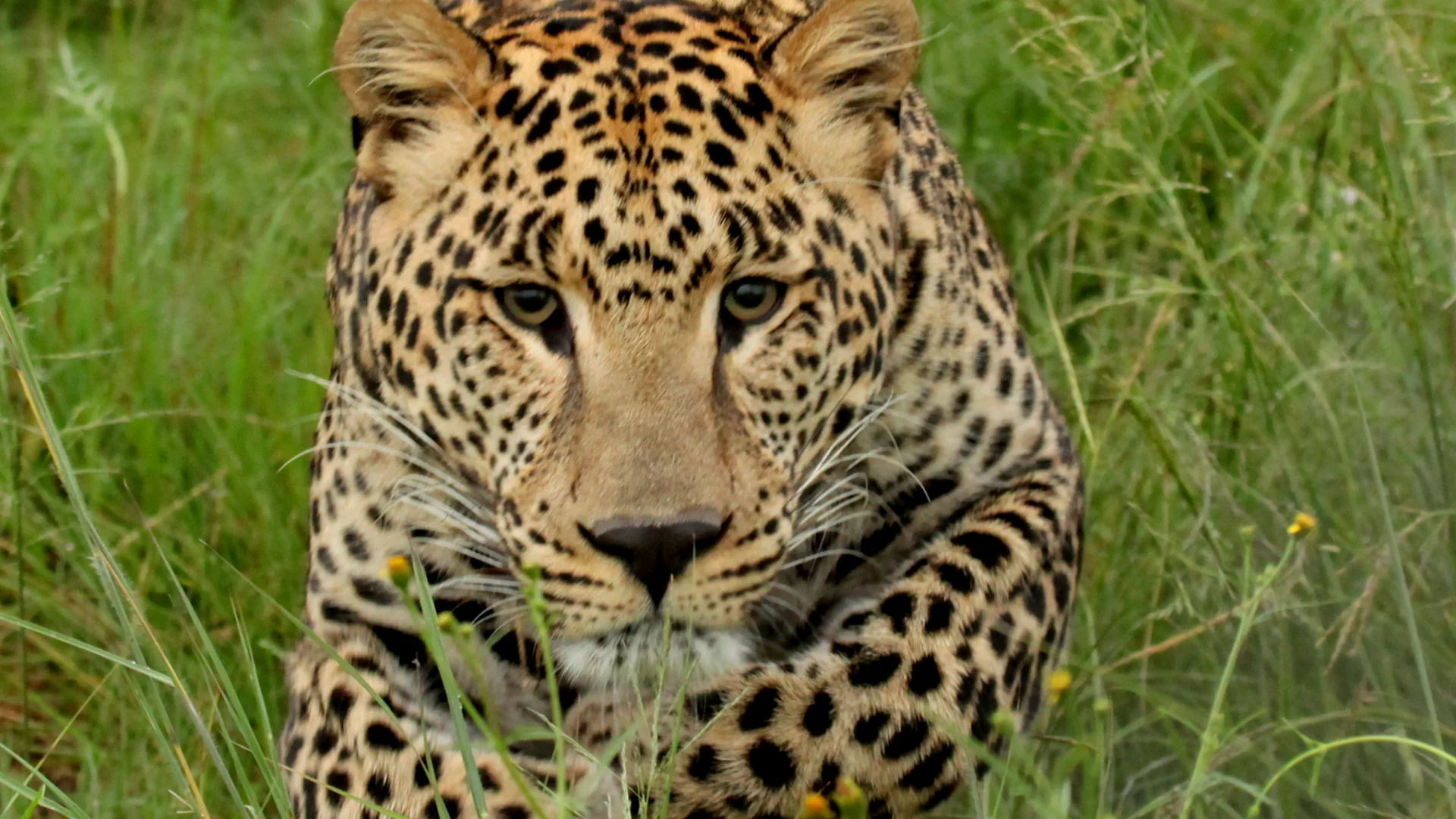 Uganda Safari Packing List — Uganda safari guide