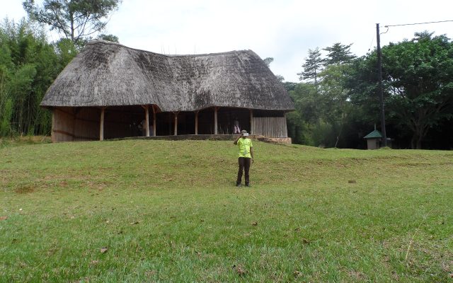 Uganda Safari Travel Trends — Uganda safari guide