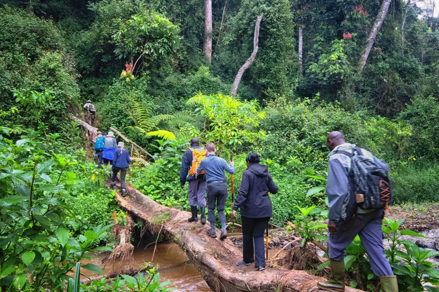 walking-safari-1