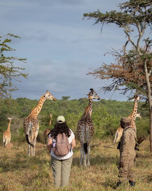 walking safari