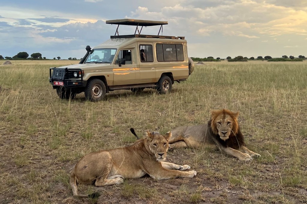 Safari travellers photographing big game from a 4x4 in Murchison Falls National Park