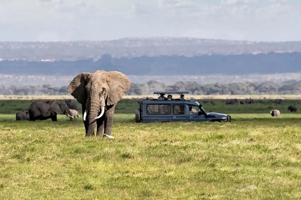 Early morning game drive vehicle on red murram tracks in Murchison Falls