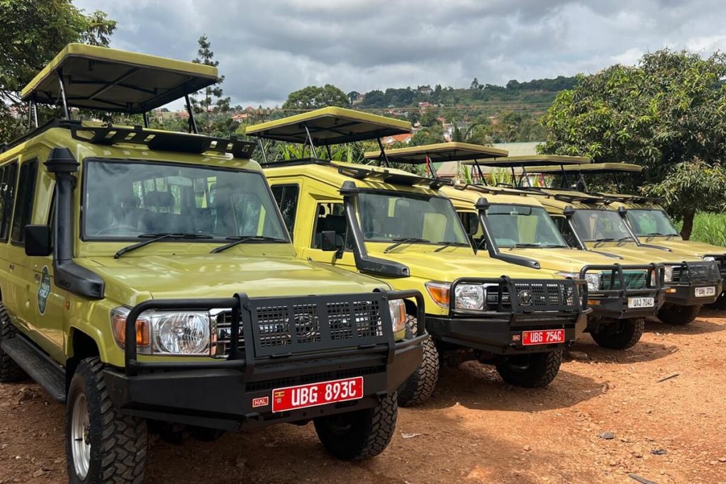 Custom safari Land Cruiser with pop-up roof on a Murchison Falls game drive